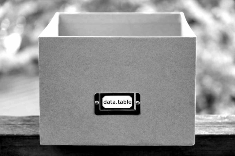 Das data.table Package